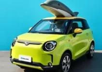 BYD Dolphin Mini