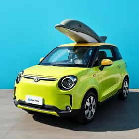 BYD Dolphin Mini