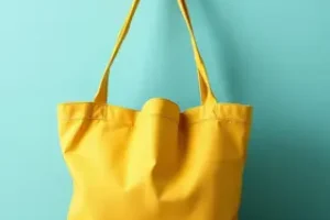 como saber se o bolsa família foi aprovado